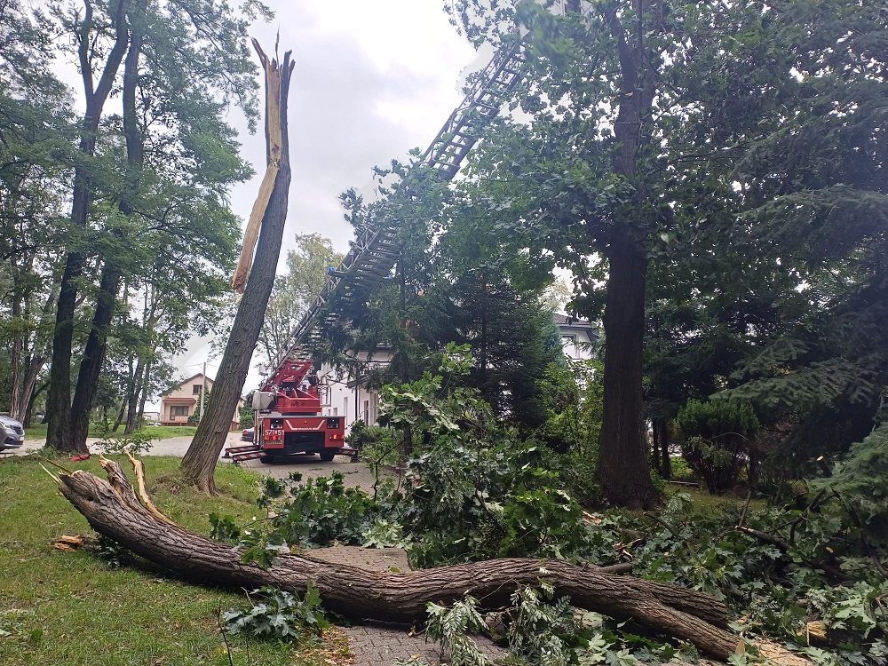 Silny wiatr w Rudzie Śląskiej – bilans interwencji straży pożarnej