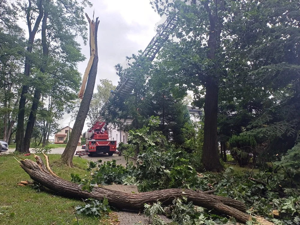 Silny wiatr w Rudzie Śląskiej – bilans interwencji straży pożarnej