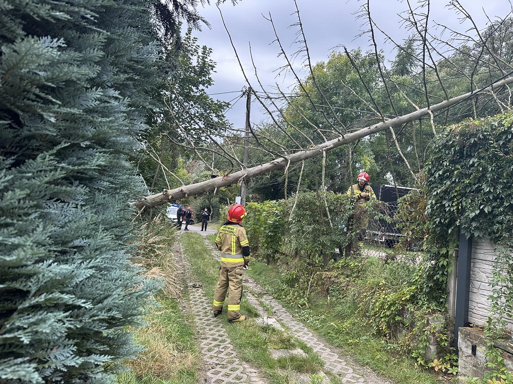 Silny wiatr w Rudzie Śląskiej – bilans interwencji straży pożarnej