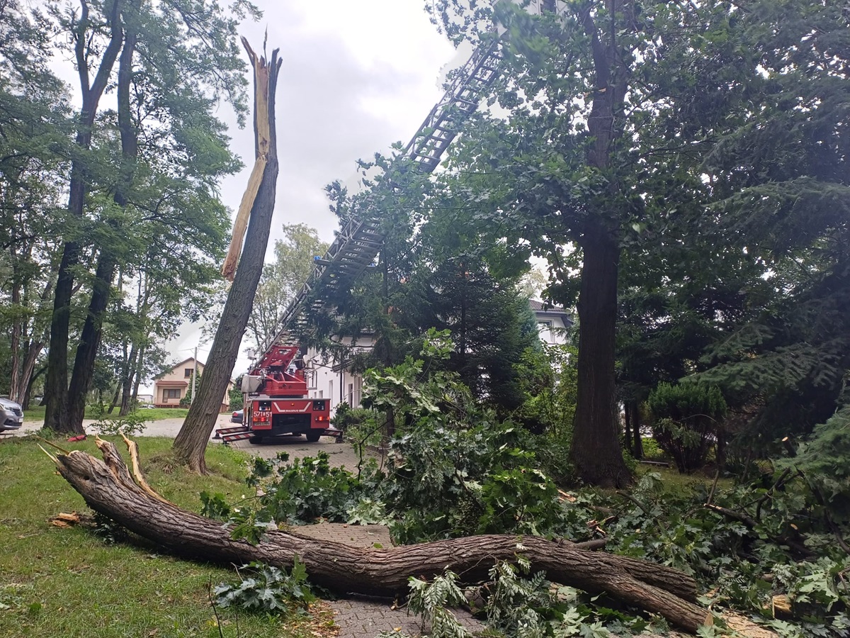 Silny wiatr w Rudzie Śląskiej – bilans interwencji straży pożarnej