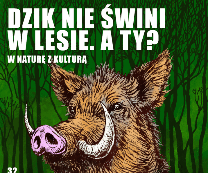 Siemianowice Śląskie sprzątają świat – ekologiczny wrzesień w mieście