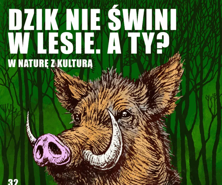 Siemianowice Śląskie sprzątają świat – ekologiczny wrzesień w mieście