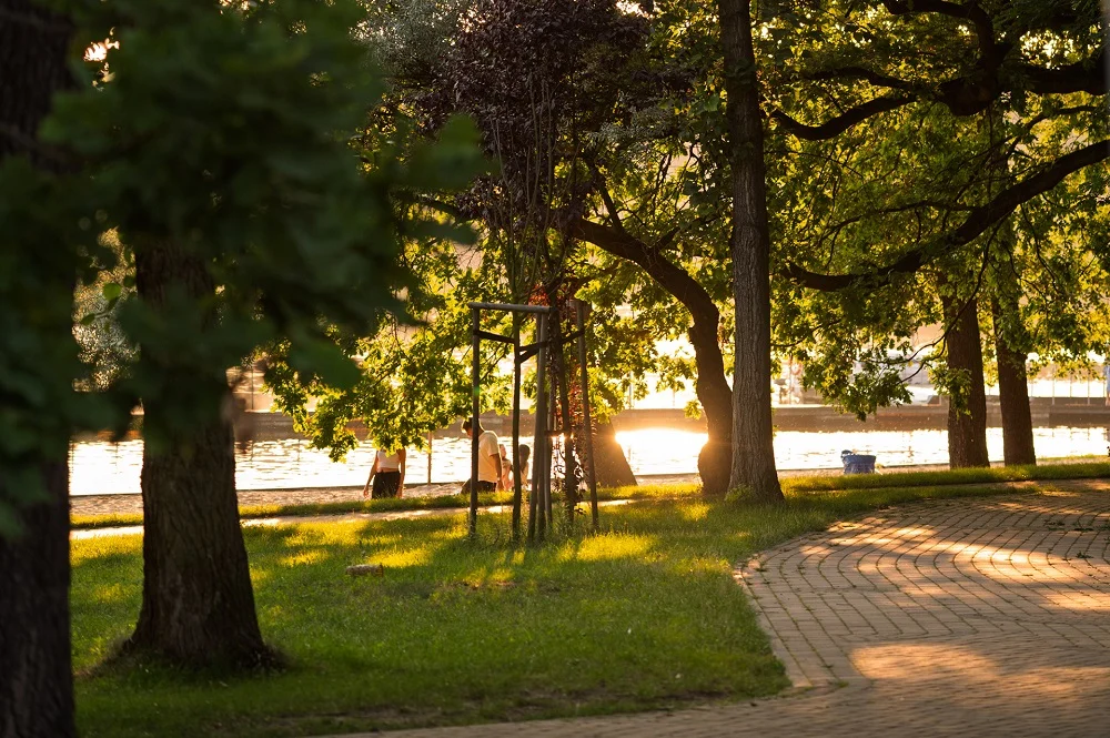 Rodzinny Piknik w Tychach – emocje, zabawa i edukacja na Paprocanach