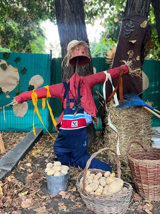 Dzień Ziemniaka / fot. UM Mysłowice