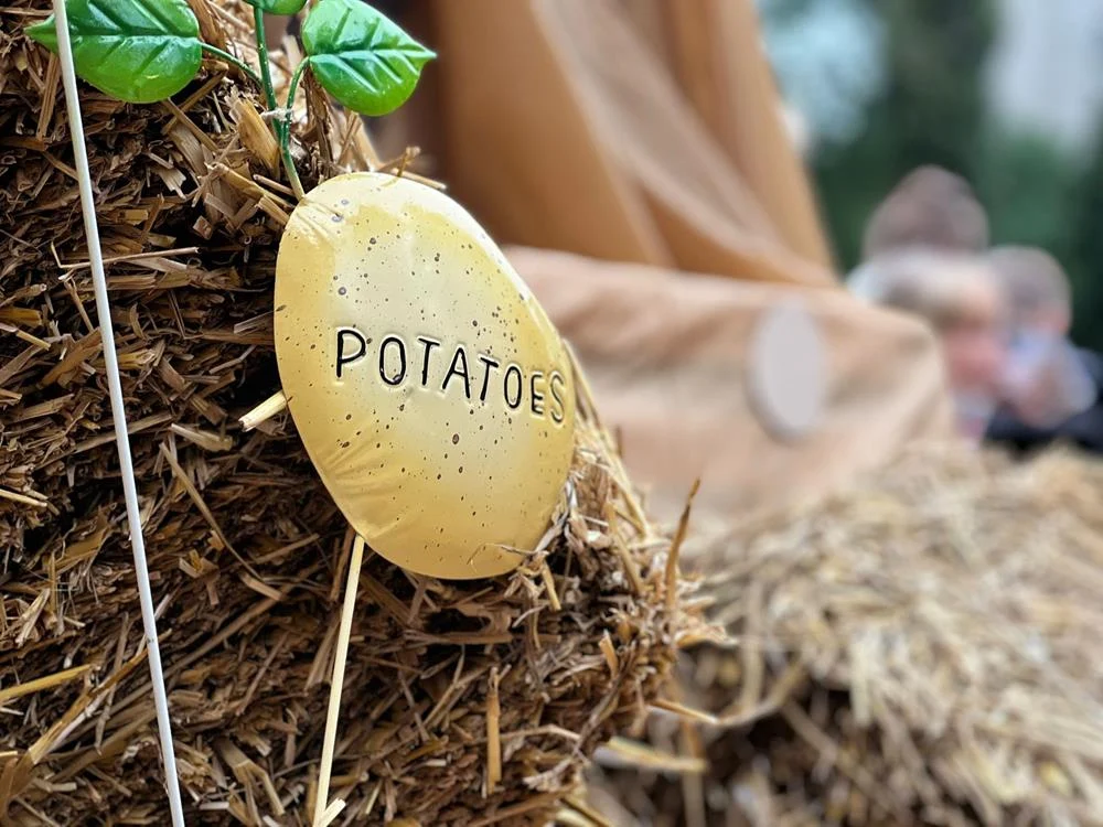 Dzień Ziemniaka / fot. UM Mysłowice