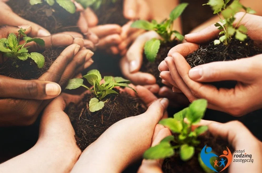 Spotkania Grupy Wsparcia dla rodzin zastępczych w Piekarach Śląskich