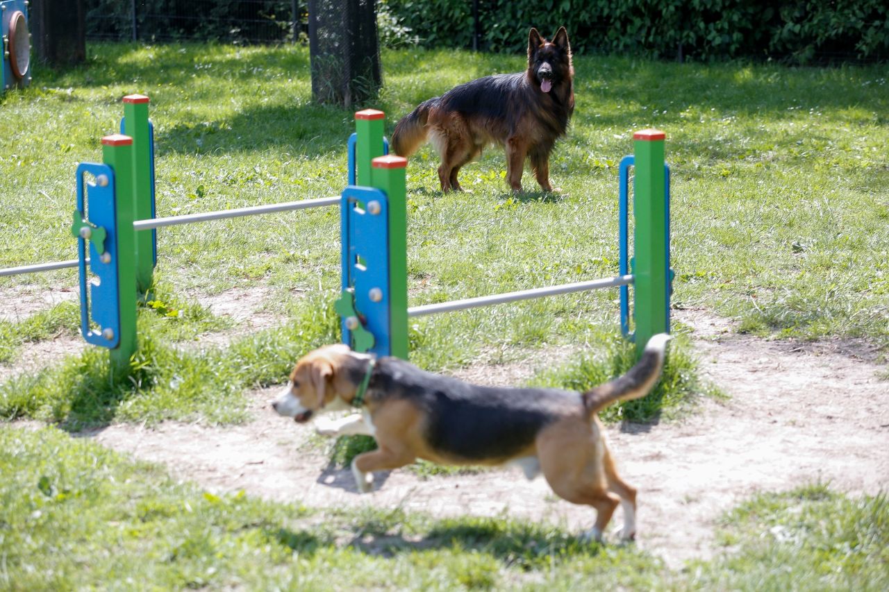 Katowiczanie zdecydowali: 129 zadań z budżetu obywatelskiego do realizacji