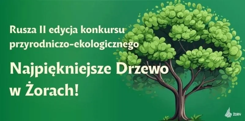 „Najpiękniejsze drzewo w Żorach” – rusza II edycja konkursu ekologicznego