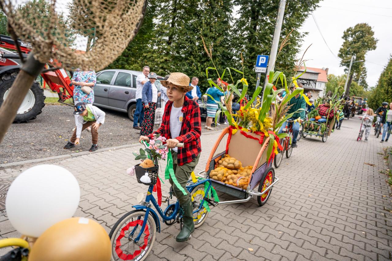 Zabrzańskie Dożynki 2025 w Grzybowicach 11