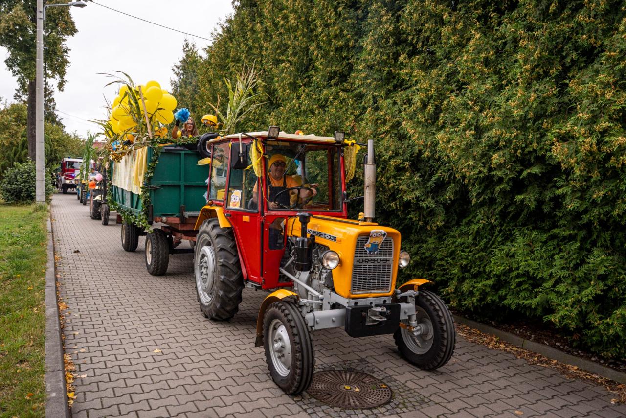 Zabrzańskie Dożynki 2025 w Grzybowicach 14