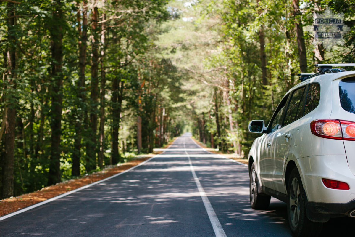 Jesień na drodze – pamiętaj o bezpieczeństwie i dostosuj prędkość!