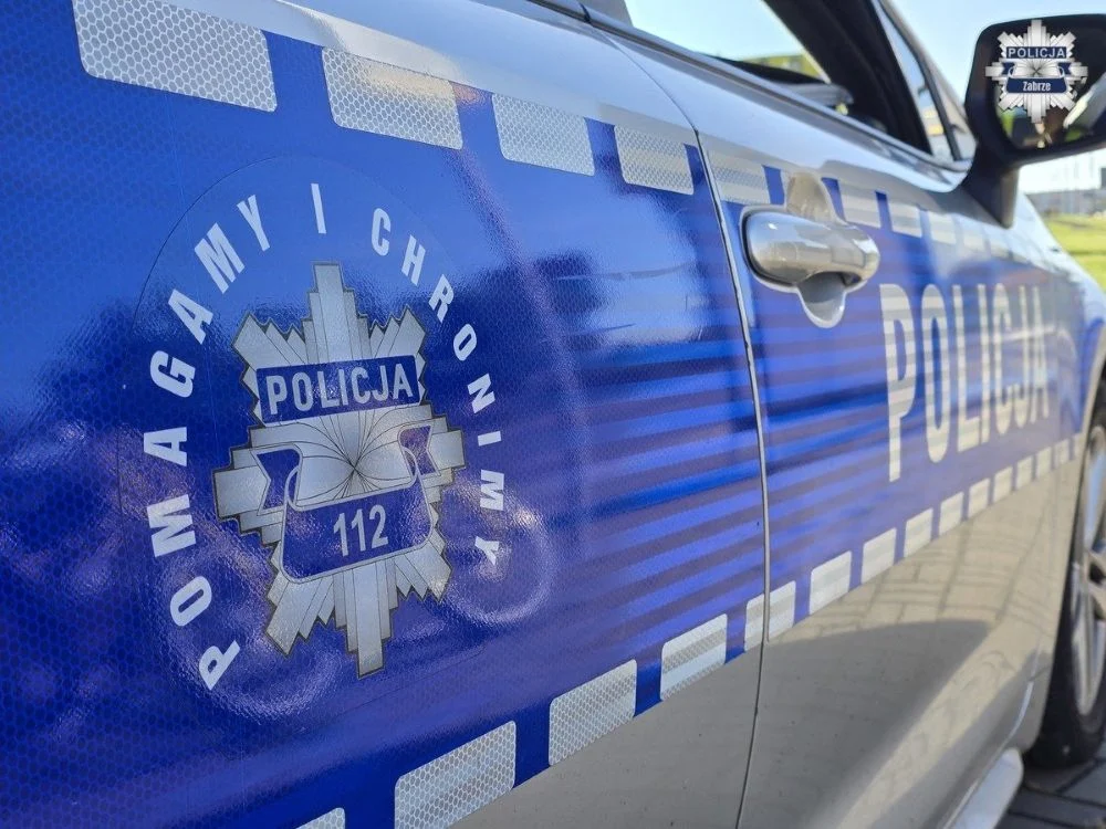 Bezpieczeństwo pieszych na drogach Zabrza. Wyniki działań „Bezpieczny pieszy"