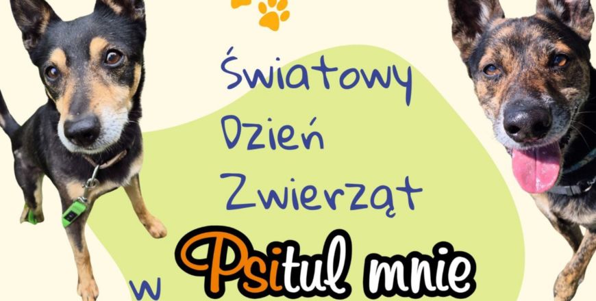 Wesprzyj zwierzęta w Światowy Dzień Zwierząt. Dołącz do wydarzenia w Psitul mnie