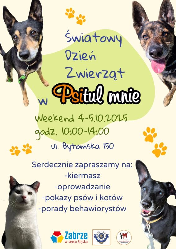 Wesprzyj zwierzęta w Światowy Dzień Zwierząt. Dołącz do wydarzenia w Psitul mnie