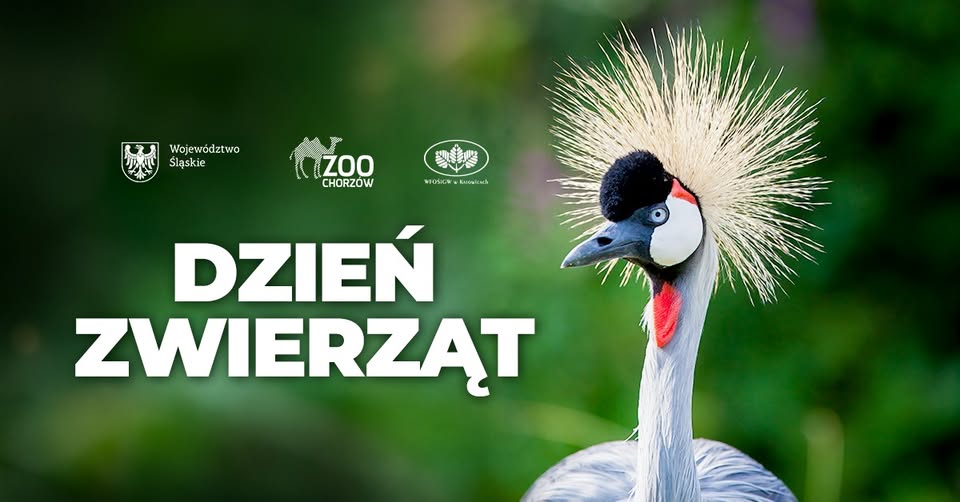 Przed nami Dzień Zwierząt w Śląskim Ogrodzie Zoologicznym!