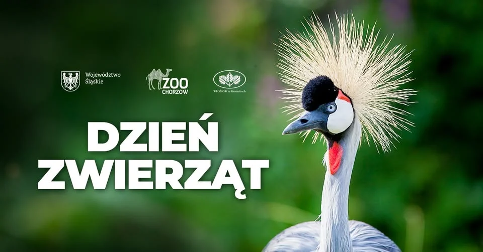 Przed nami Dzień Zwierząt w Śląskim Ogrodzie Zoologicznym!