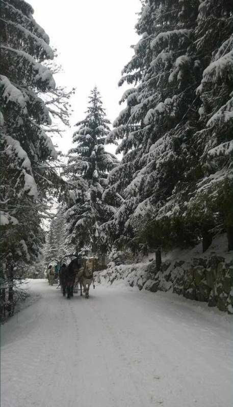 Sylwestrowy Kulig z Biesiadą - Wisła 2025/26