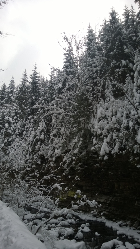 Sylwestrowy Kulig z Biesiadą - Wisła 2025/26