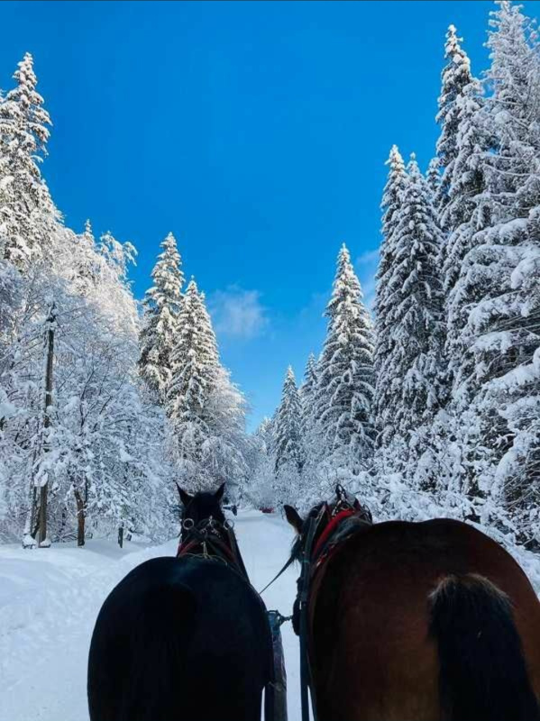 Sylwestrowy Kulig z Biesiadą - Wisła 2025/26