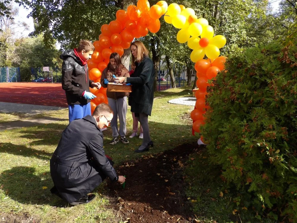 Zielona przestrzeń dla dzieci. Przy SP nr 35 powstała „Kwietna Wyspa”!
