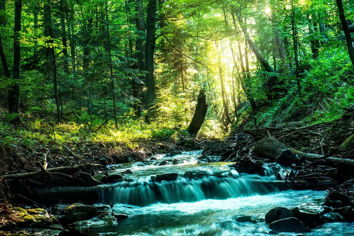 Czy warto jechać do Krynicy-Zdrój? Uzdrowiskowy hit, który zaskakuje nie tylko seniorów