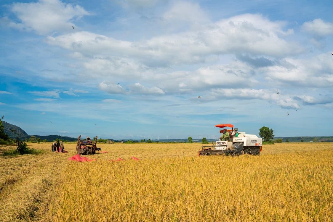 Jak system prowadzenia manualnego PowerGuide pomaga zwiększyć plony?