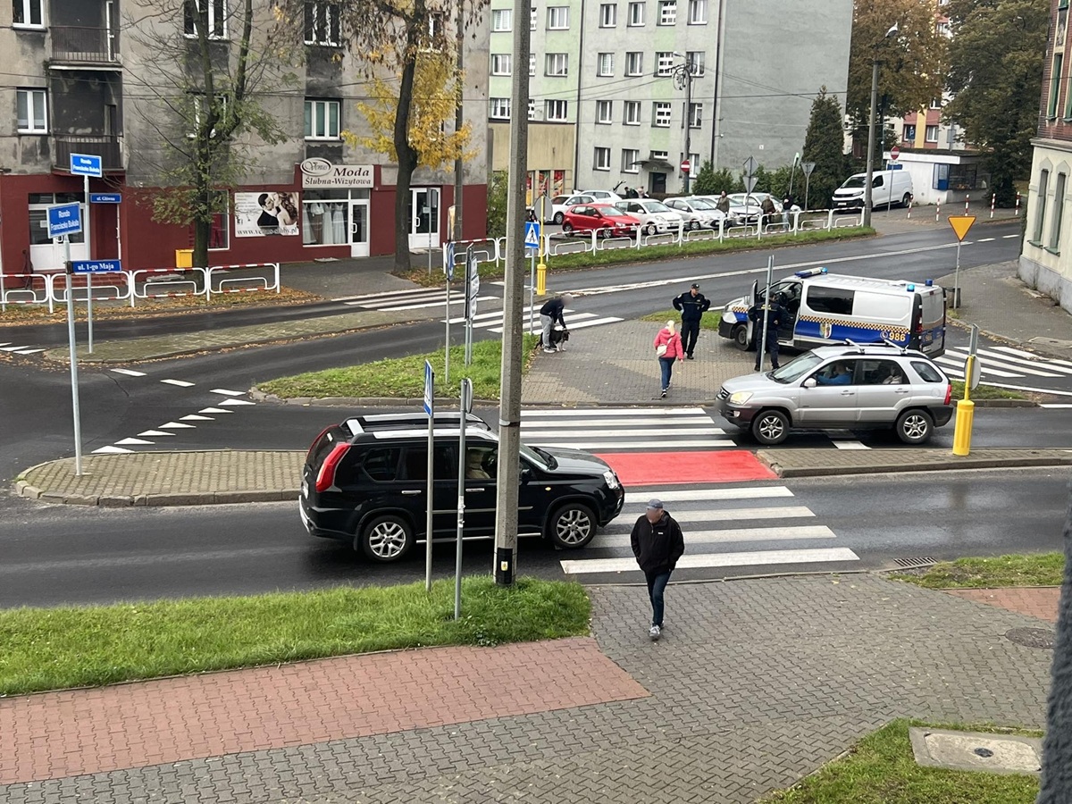 Pogryzienie psa w Wirku: interwencja służb, właściciel ukarany mandatem