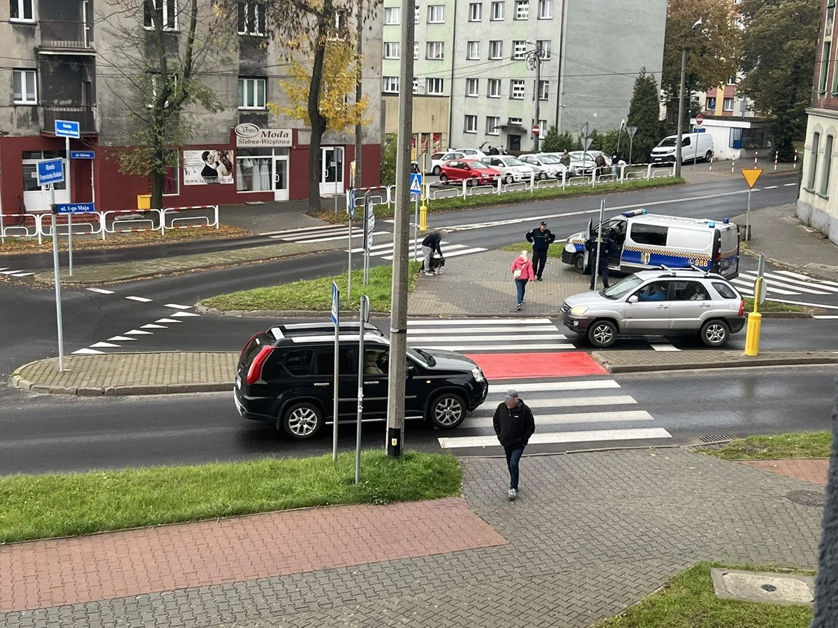 Pogryzienie psa w Wirku: interwencja służb, właściciel ukarany mandatem