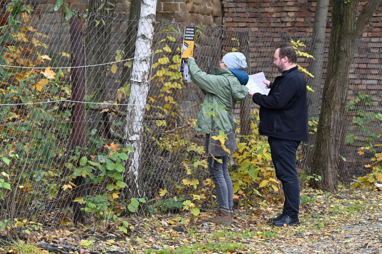 Śląskie DIY w Rudzie Śląskiej 8