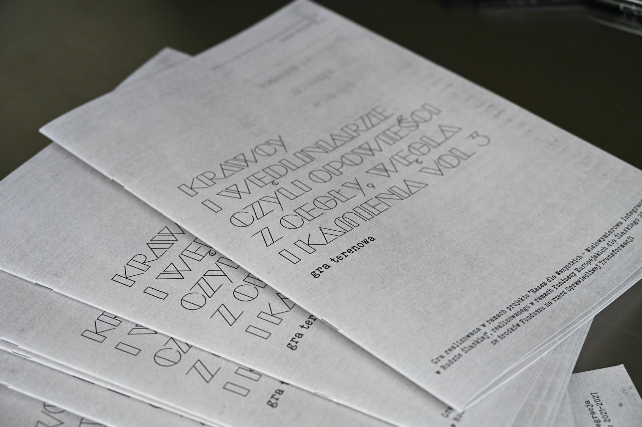 Śląskie DIY w Rudzie Śląskiej 14