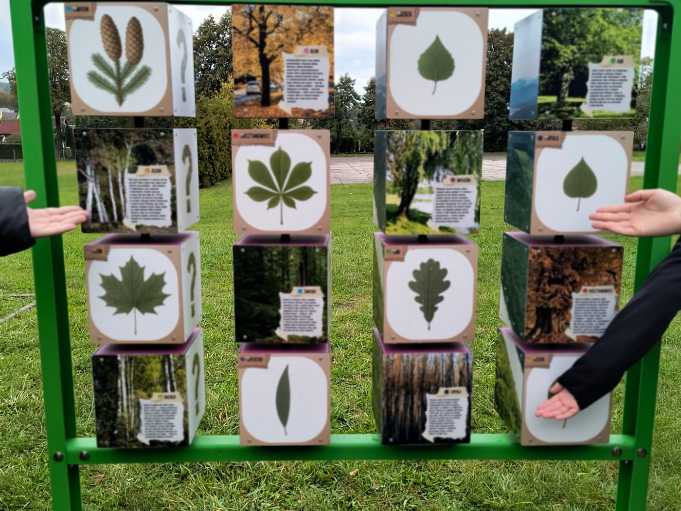 Edukacja na świeżym powietrzu i proekologiczne postawy w Szkole Podstawowej nr 11