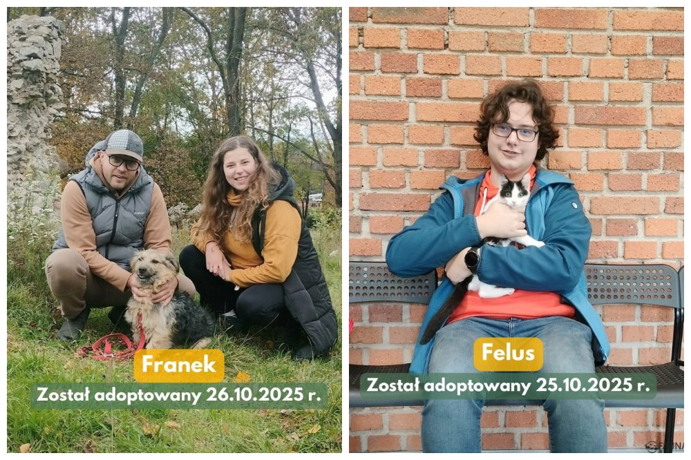Kolejne czworonogi z "Fauny" znalazły nowe domy!
