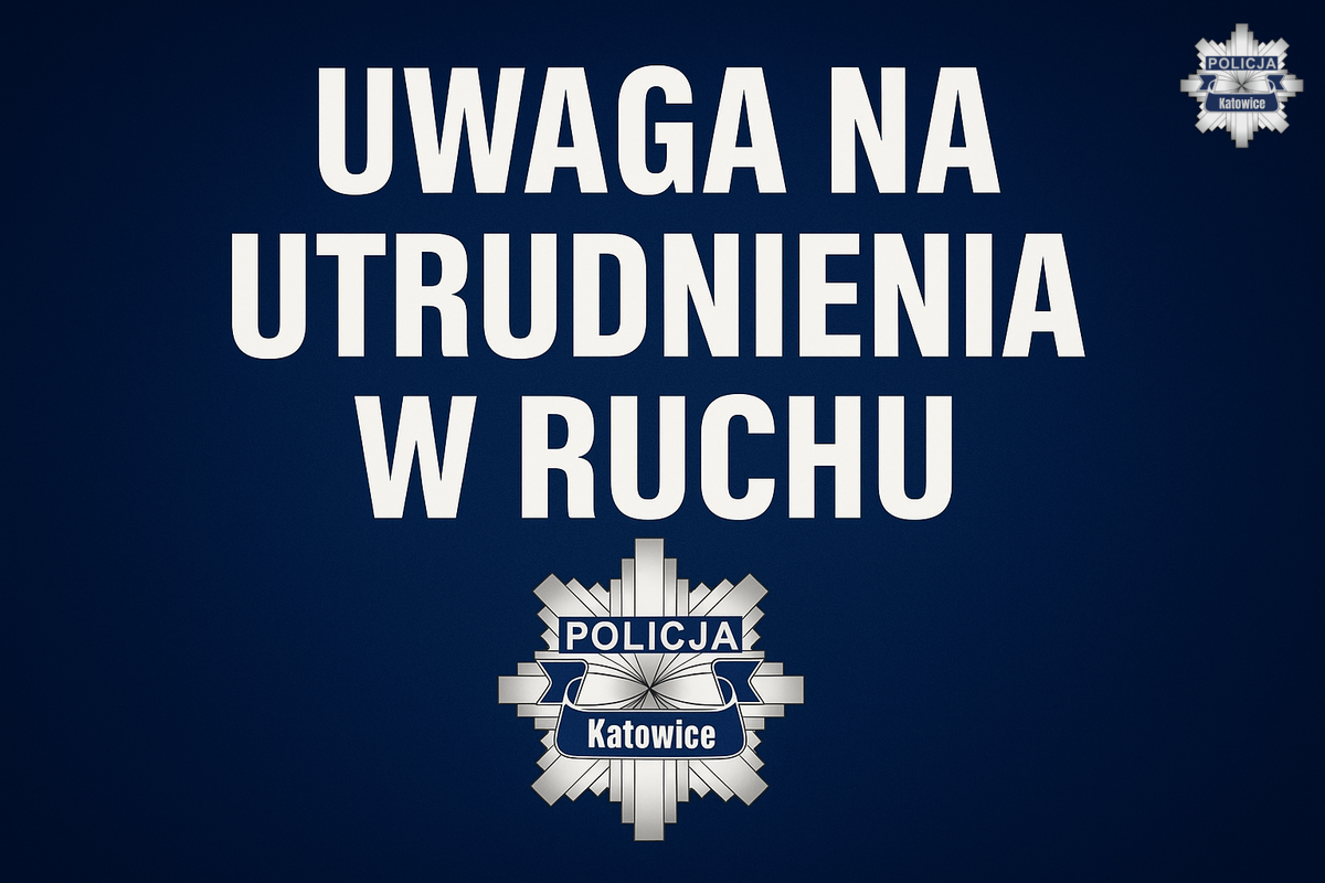 Zmiany w organizacji ruchu z powodu meczu Polska – Nowa Zelandia