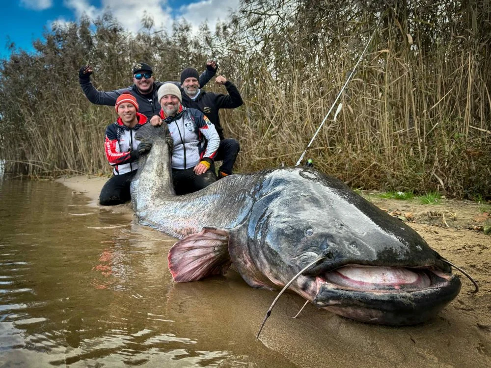 Polscy wędkarze pobili rekord świata – złowili niemal 3-metrowego suma!