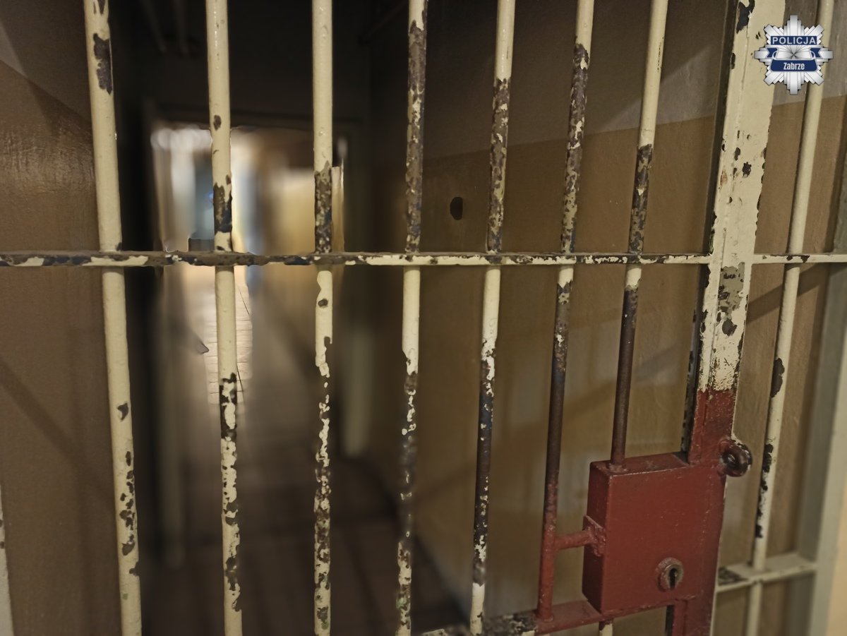 Tymczasowy areszt za znęcanie się nad żoną i synami