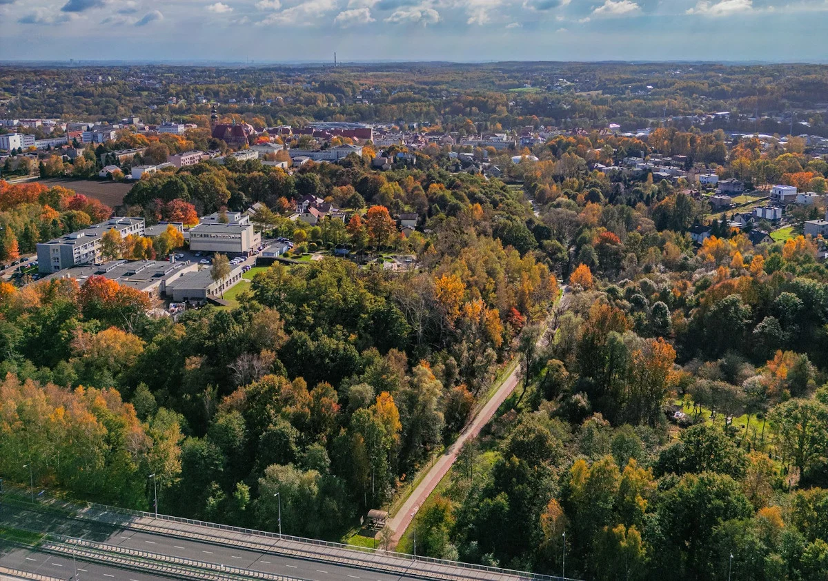 Październik w Wodzisławiu: pełen koncertów, filmów i warsztatów