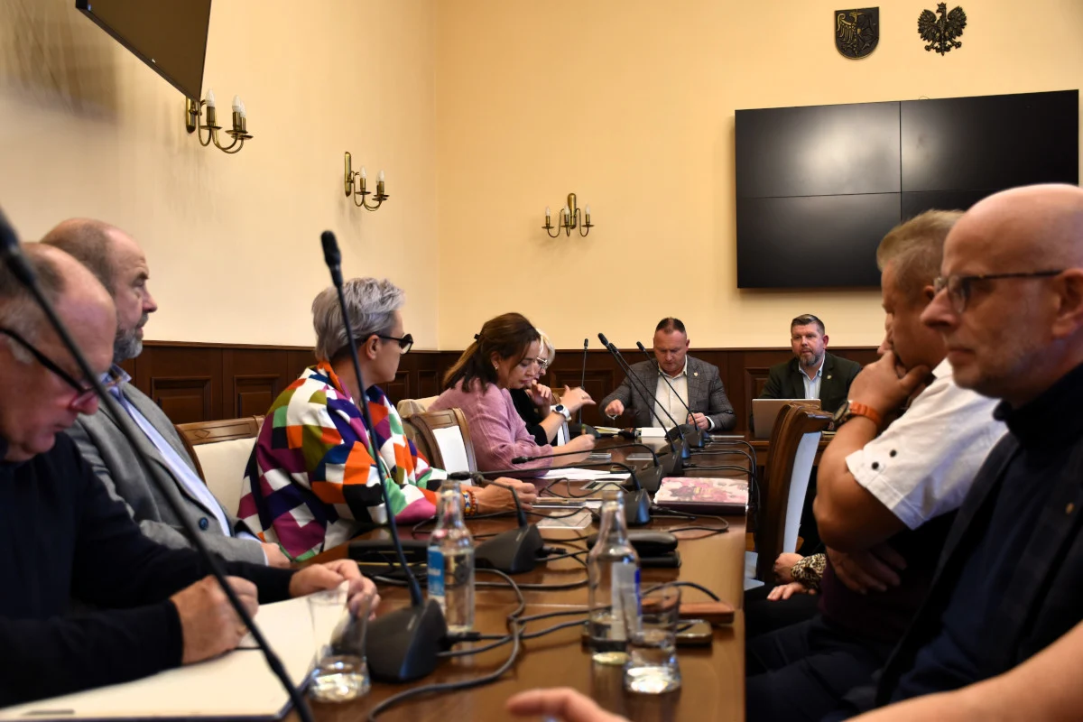 Spotkanie z Radami Dzielnic w Wodzisławiu Śląskim – kluczowe ustalenia na przyszłość