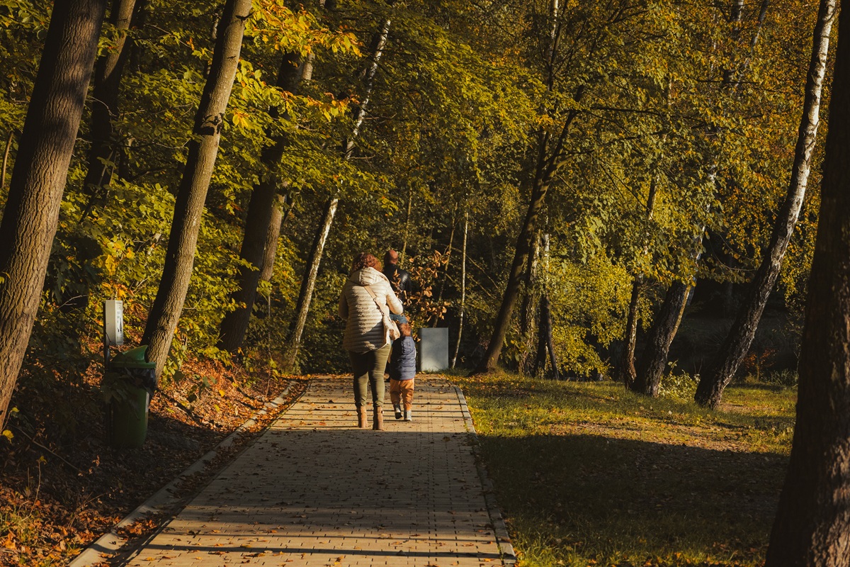 Wodzisław Śląski: Wydarzenia kulturalne na weekend