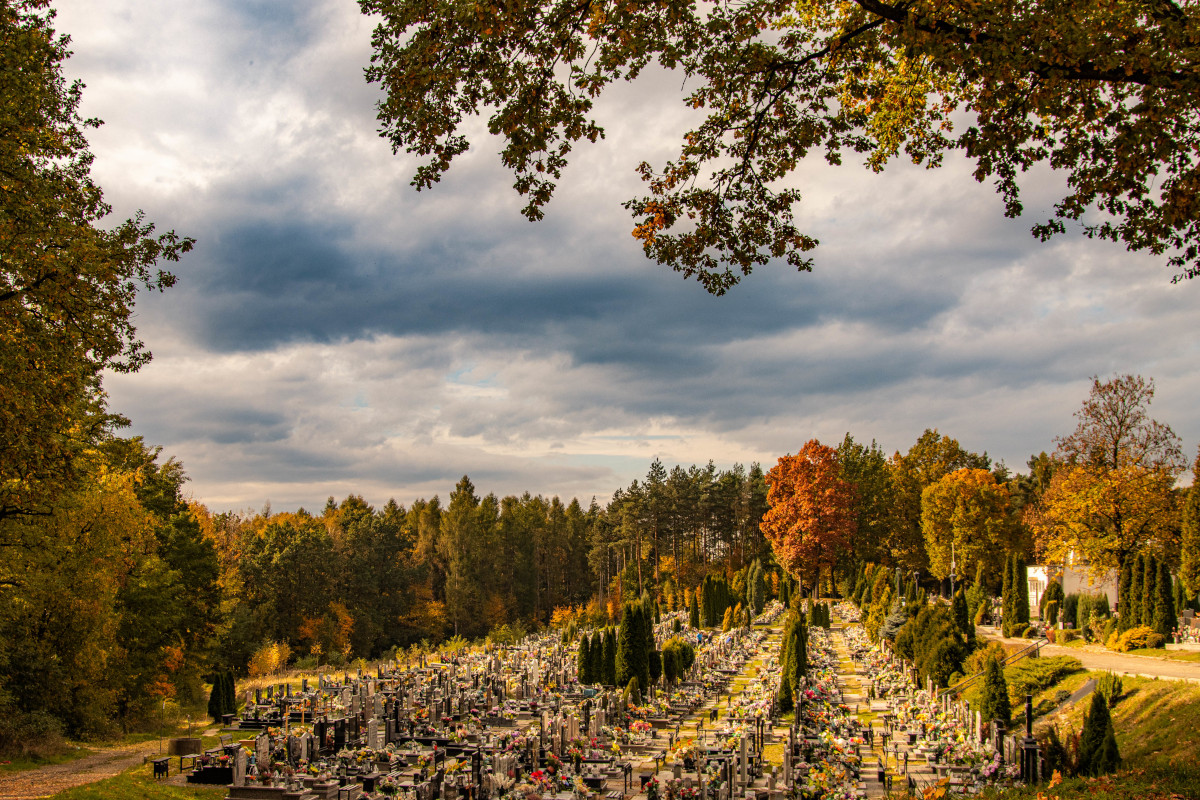 Wodzisław Śląski realizuje projekt "OZE w obiektach użyteczności publicznej"
