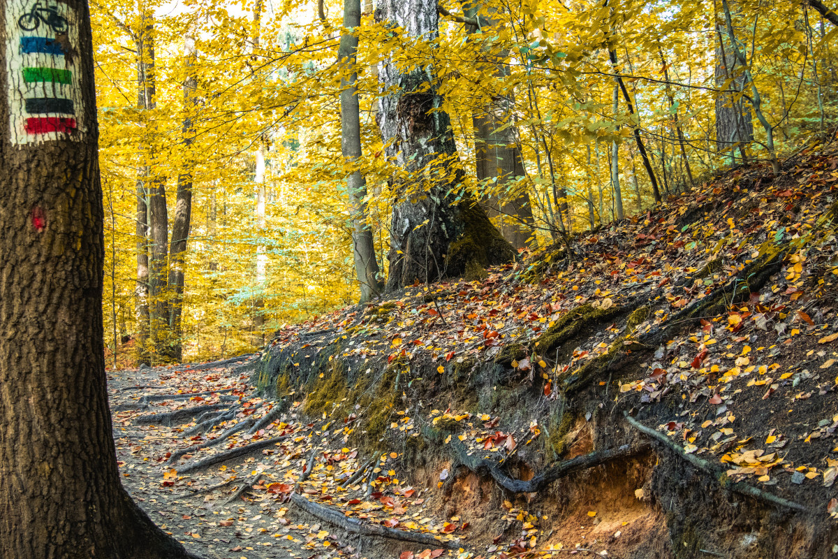 Zintegruj się z sąsiadami! Drugie spotkanie cyklu W.A.R.T.O. w Wodzisławiu Śląskim