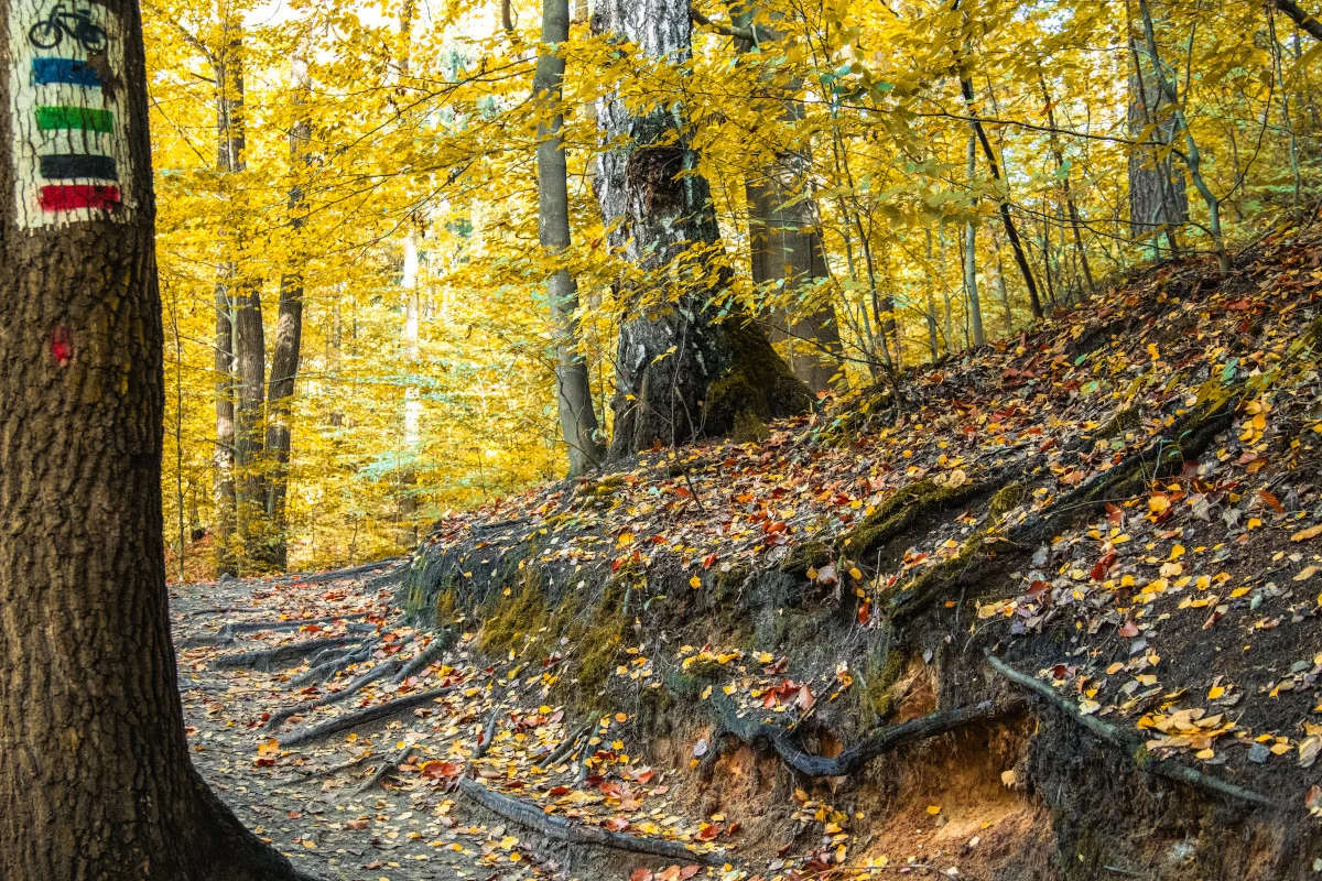 Zintegruj się z sąsiadami! Drugie spotkanie cyklu W.A.R.T.O. w Wodzisławiu Śląskim