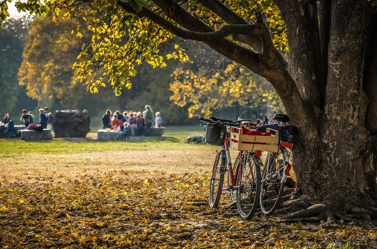 Bezpieczny rowerzysta jesienią – obowiązkowe wyposażenie i przepisy drogowe