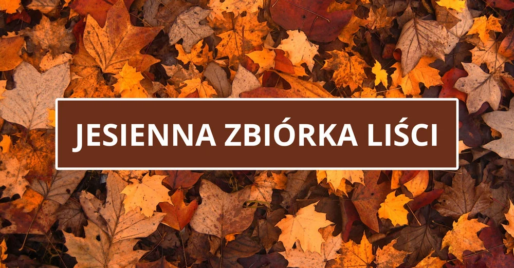 Jesienna zbiórka liści 2025 w Łaziskach Górnych – sprawdź terminy i zasady odbioru