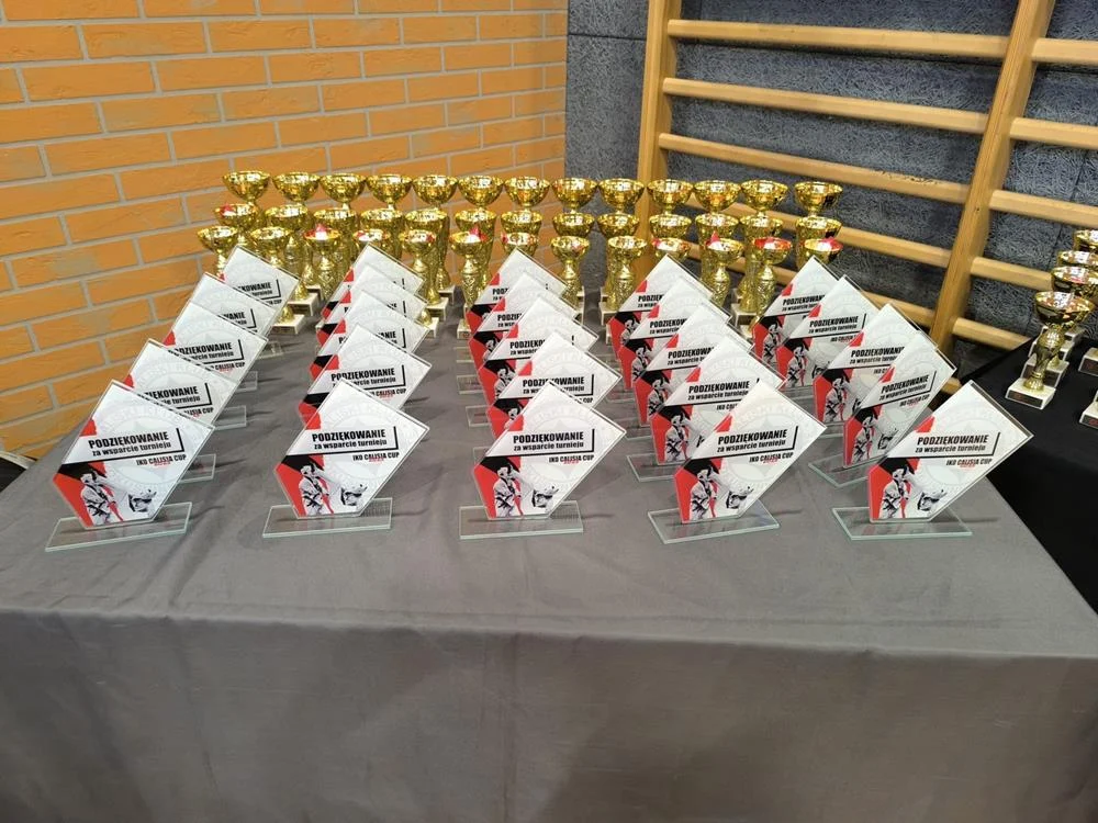 UKS Karate Kyokushin na turnieju IKO Calisia Cup / fot. FB UKS Karate Kyokushin Orzesze