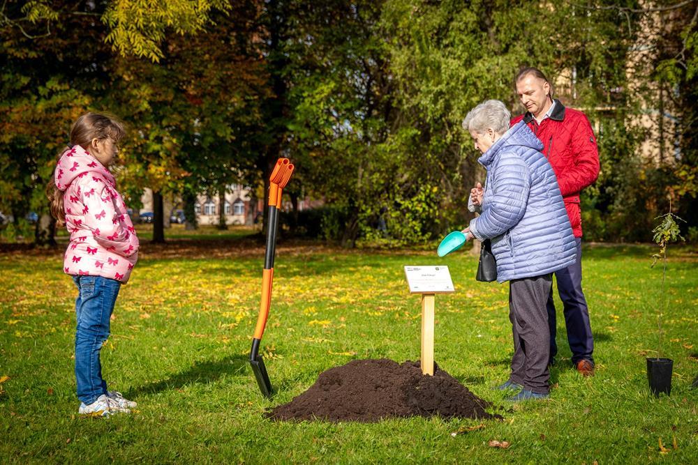 Posadzono Dąb Pokoju w Parku Solidarności / fot. UM Tychy