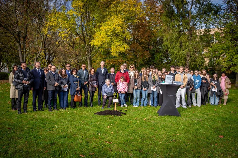 Posadzono Dąb Pokoju w Parku Solidarności / fot. UM Tychy