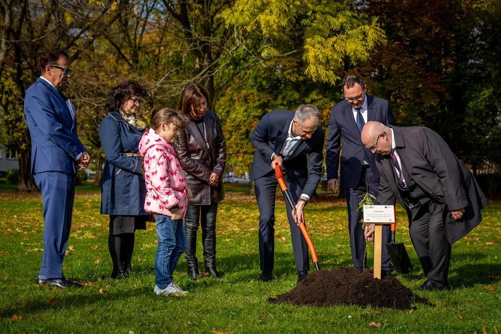 W Parku Solidarności posadzono Dąb Pokoju