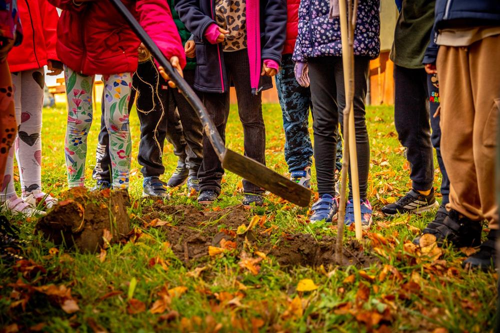 Tychy z nowymi lipami – dzieci posadziły drzewa i nadały im imiona