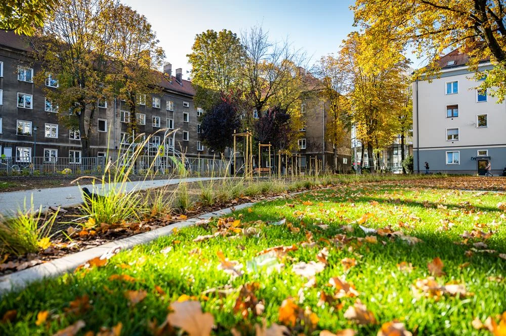 Nowe, zielone podwórko między Budowlanych, Bałuckiego i Bema już gotowe