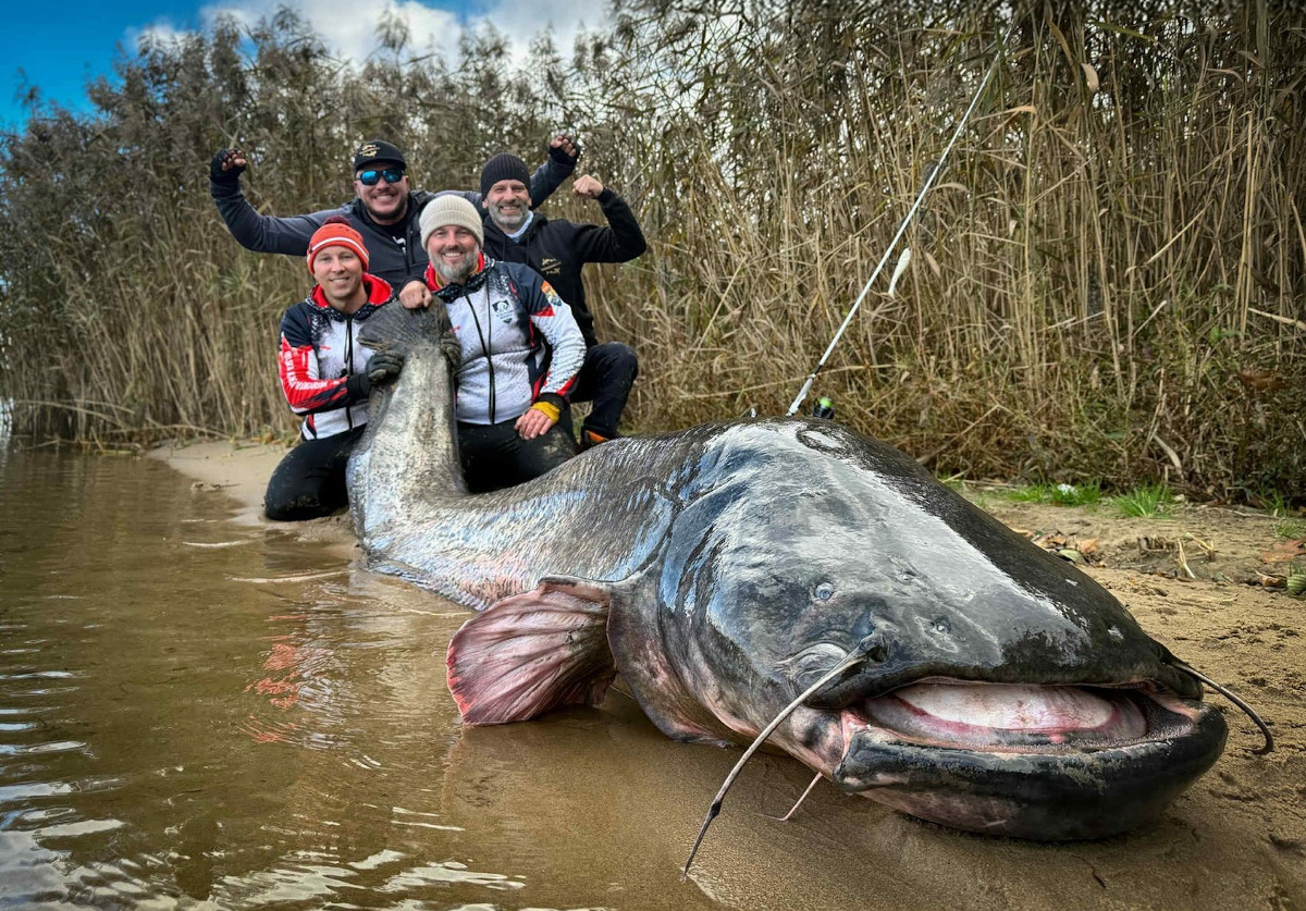 Rekord świata na Zalewie Rybnickim – sum o długości 292 cm!